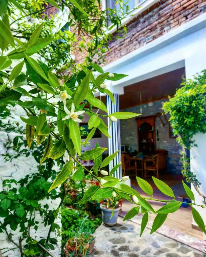 Private Room Historic Center เอลบาซาน ภายนอก รูปภาพ